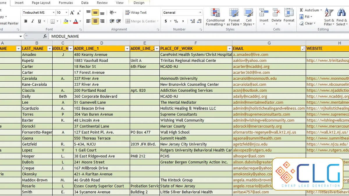 How to Build a Verified B2B Contact Database visual guide by Cheap Lead Generation
